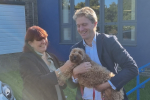 Dr Ben Spencer MP meeting Amber, Ongar Place Primary's support dog